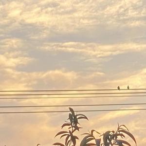 诛心（秦海清）（2段）