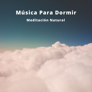 Conexión Profunda En El Bosque