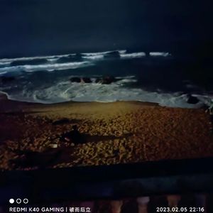 换血血溅