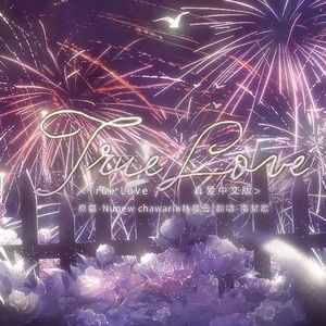 รักแท้(True Love) (真爱中文版)