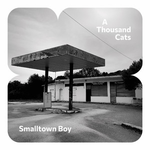 Smalltown Boy (Cover)