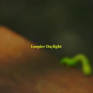 Loopier Daylight