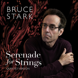 Serenade for Strings: Allegro Moderato