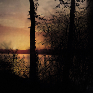 Terpentine Xylophone