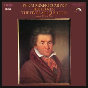 String Quartet No. 16 in F Major, Op. 135:I. Allegretto