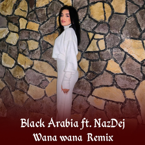 Wana Wana (Remix)