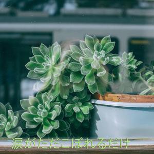 涙がただこぼれるだけ