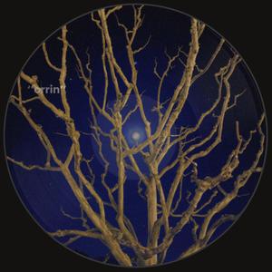 unfelt