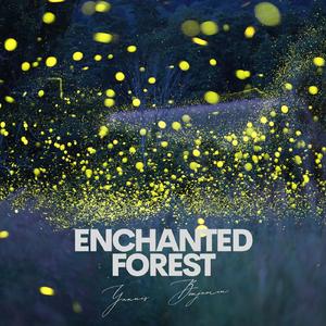 Enchanted Forest
