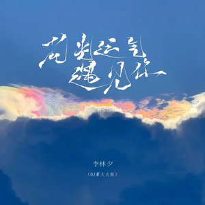 花光运气遇见你（DJ豪大大版）