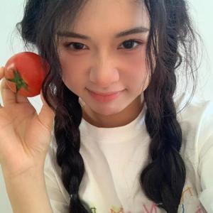 羞答答的玫瑰静悄悄的开