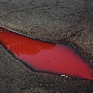 一物不知，深以为耻