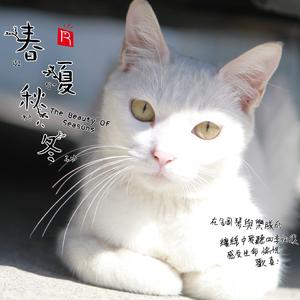 火一样的夏日 柒月