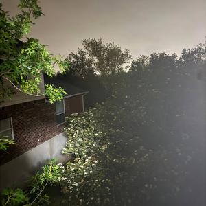 Calm, come home (Demo)