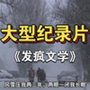 发疯文学（大型纪录片）