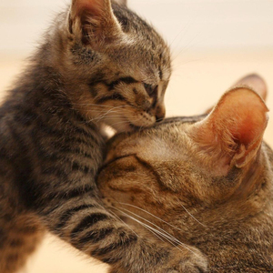 增加内在的思想力量