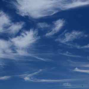 Wait for the past sunshine