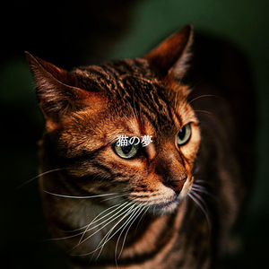 Romantic Smooth Sundays