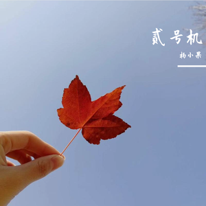 你飞到城市另一边（live）