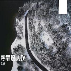 墨笔绘悲欢
