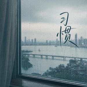 习惯