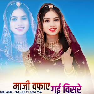 Maaji vafai gai visare