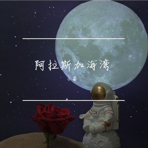 阿拉斯加海湾（片段）