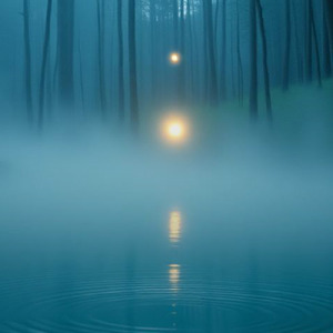 雨音に包まれて