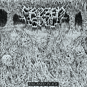 Witches Coven (Demo - Cover Version)