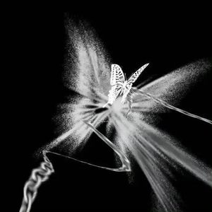 季节