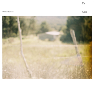 Interludio para la Hormiga