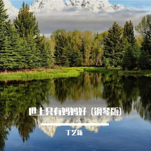 世上只有妈妈好 (钢琴版)