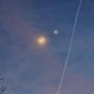 Late Night Thoughts (feat. Du$$8)