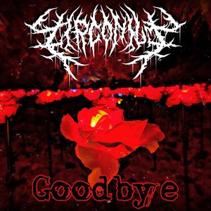 Goodbye