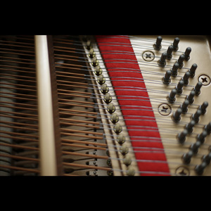 Fragment 2
