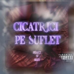 Cicatrici pe Suflet (feat. sezy)