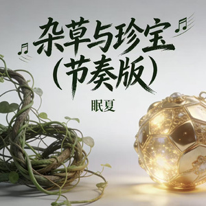 杂草与珍宝（节奏版）