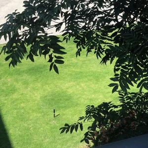 好想拥你入梦 (男女对唱版)