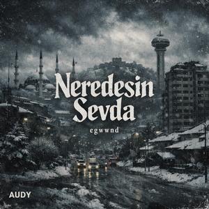 Neredesin Sevda 2