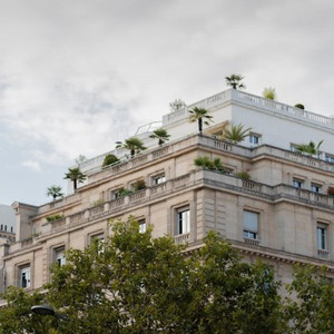 没了我你依然拥有太阳