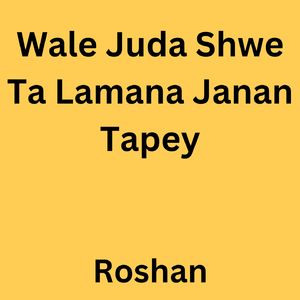 Wale Juda Shwe Ta Lamana Janan Tapey