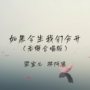 如果今生我们分开(无悔合唱版)
