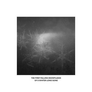 The First Falling Snowflakes Of A Winter Long Gone