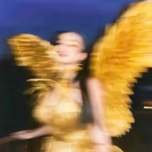 Safari车载（remix）