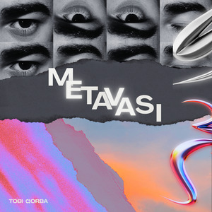 Metavasi