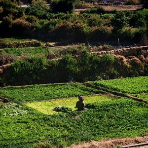 山灵(cover周深）