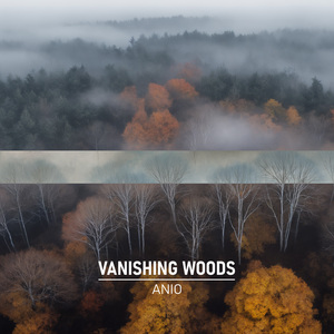 Vanishing Woods