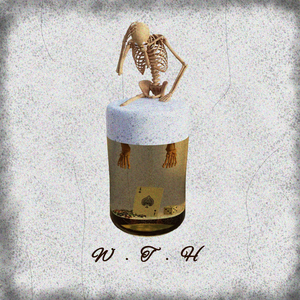 W.T.H