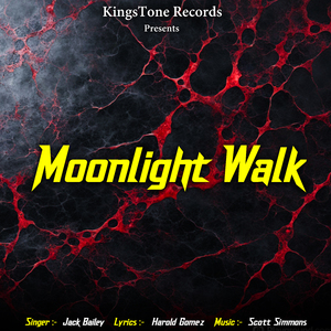 Moonlight Walk