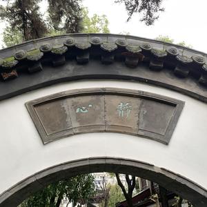 我在昨天的梦里又看见了你